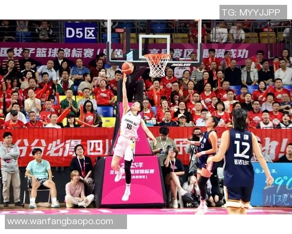 四川与辽宁2016年对决回顾:激情碰撞与精彩瞬间的篮球盛宴