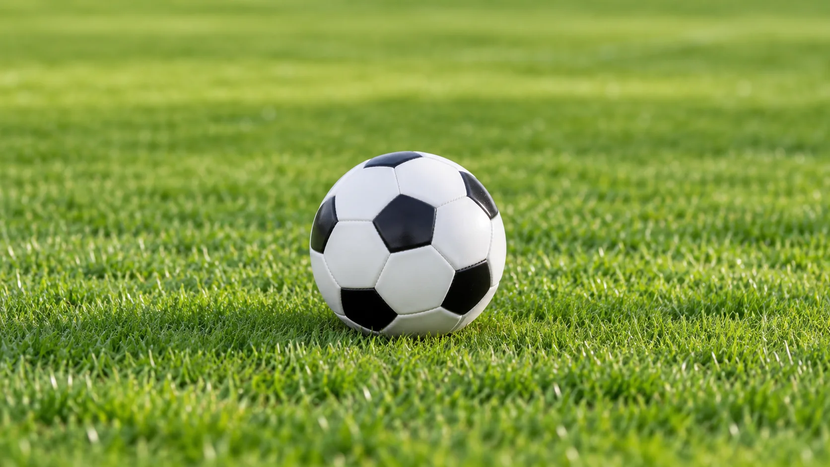 李泓澎的成长之路与艺术追求：从青涩少年到当代艺术家的蜕变与探索